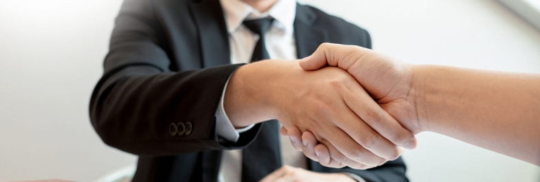 Professional handshake agreement